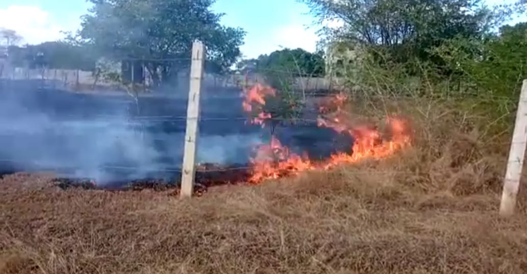 Dos incendios forestales arrasan tareas de bosque seco en Dajabón