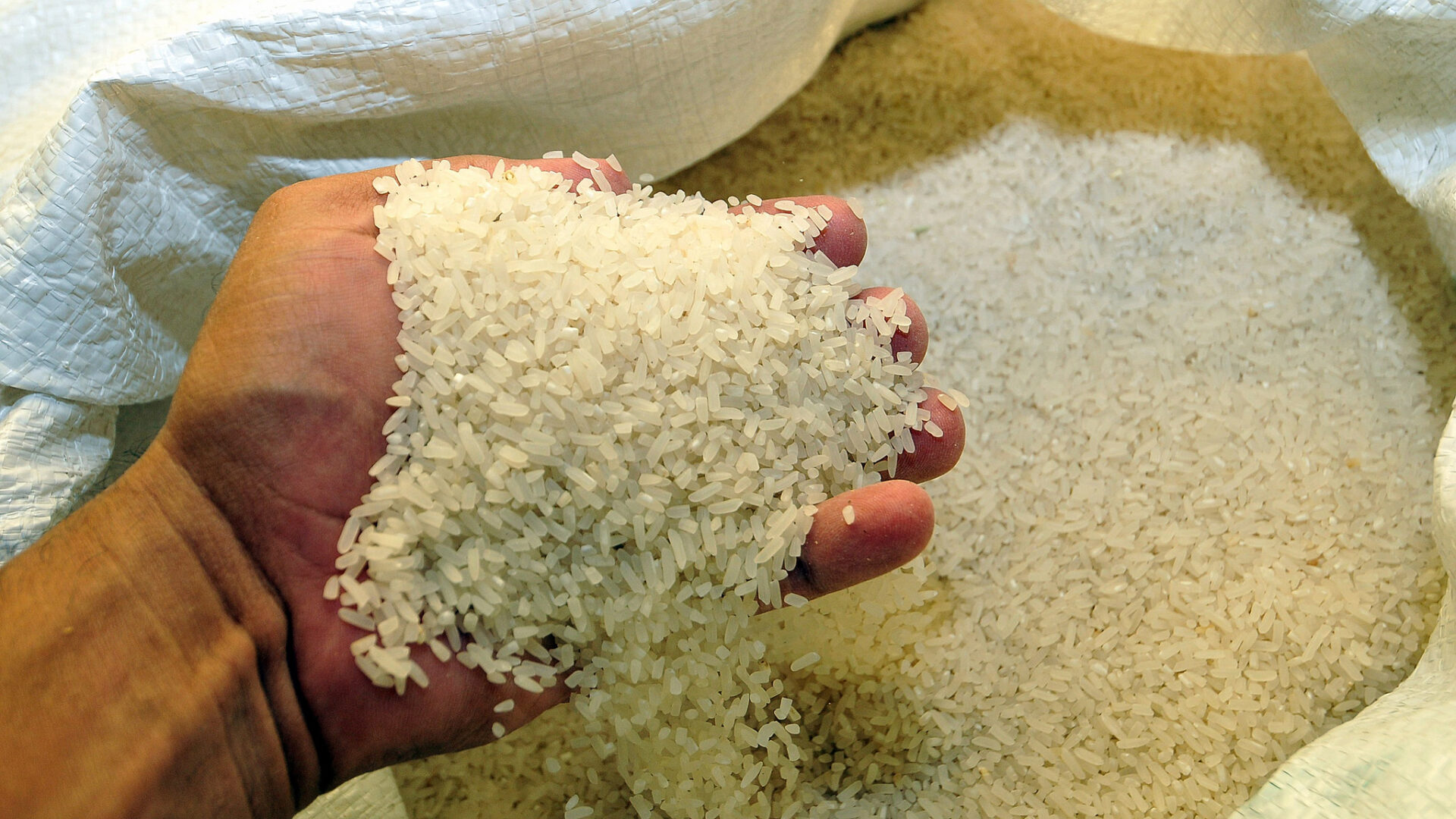 Comisión Arrocera y gobierno acuerdan banda de precio del arroz