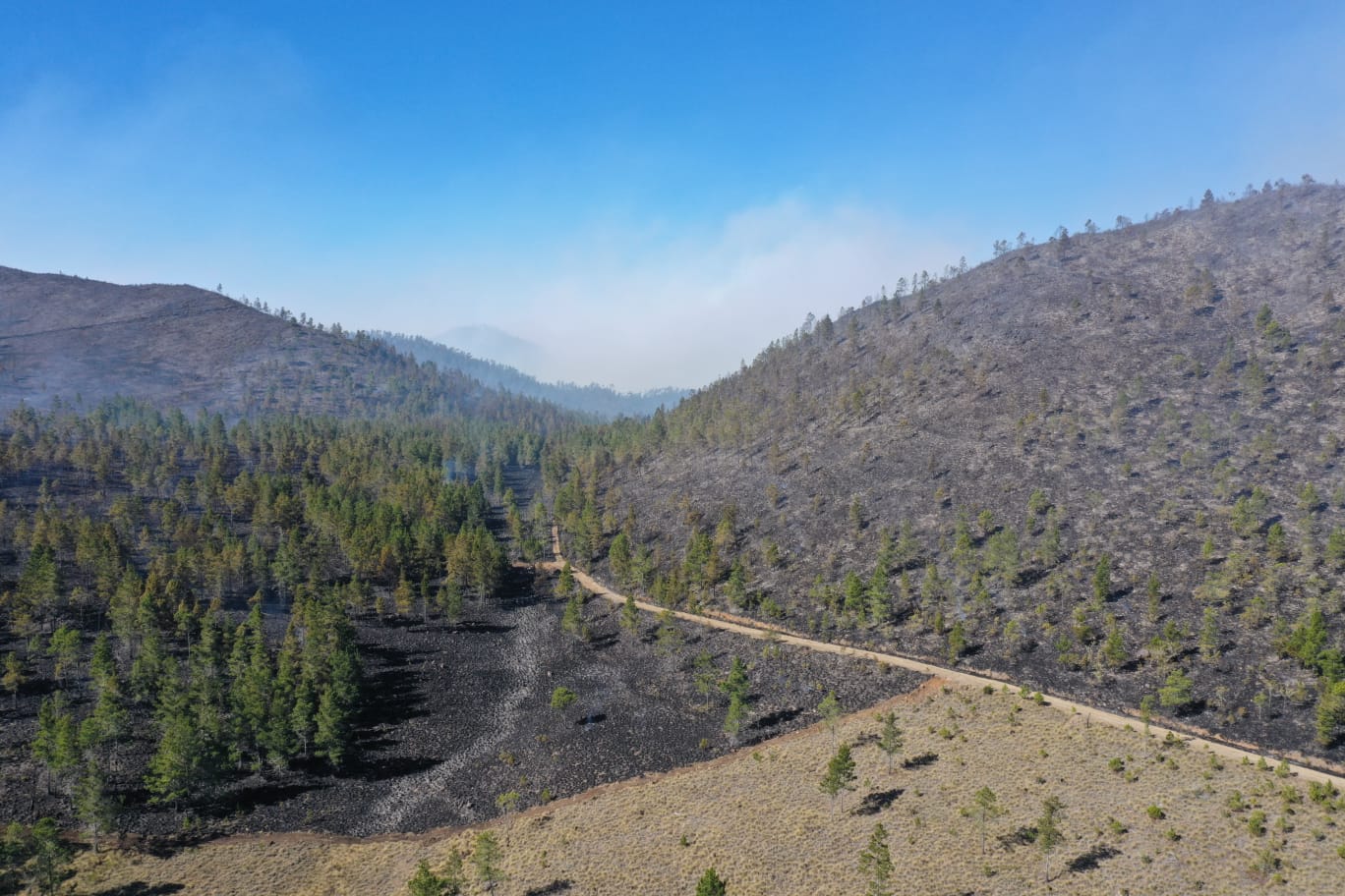 Medio Ambiente dice que incendio de Valle Nuevo fue provocado