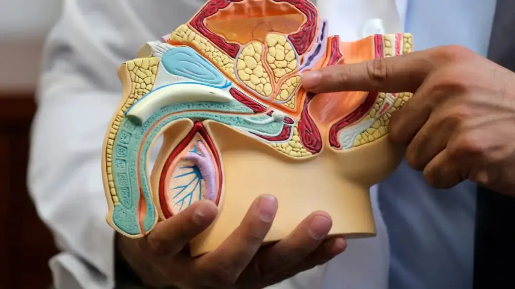 Adiós al tacto rectal para detectar el cáncer de próstata