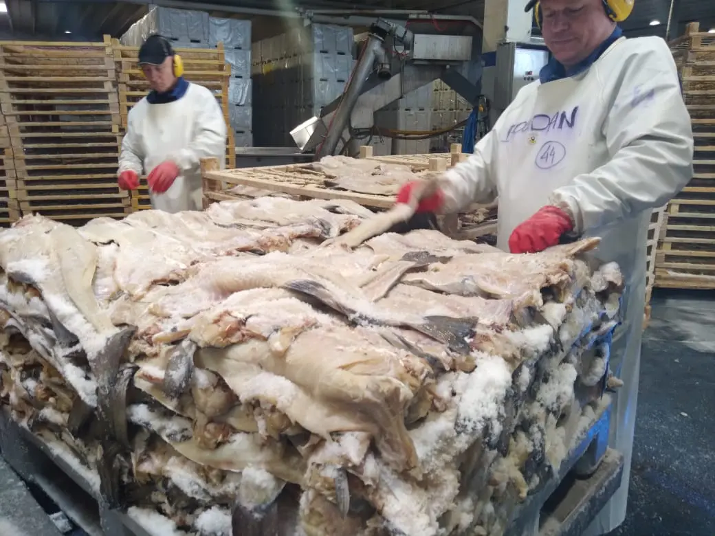 Noruega, el mayor exportador de Bacalao