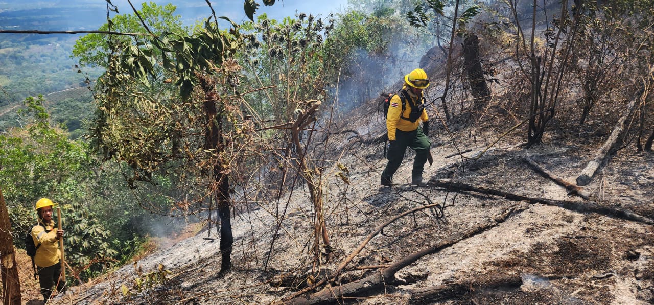 Identifican a responsables de crear algunos incendios en zonas de RD