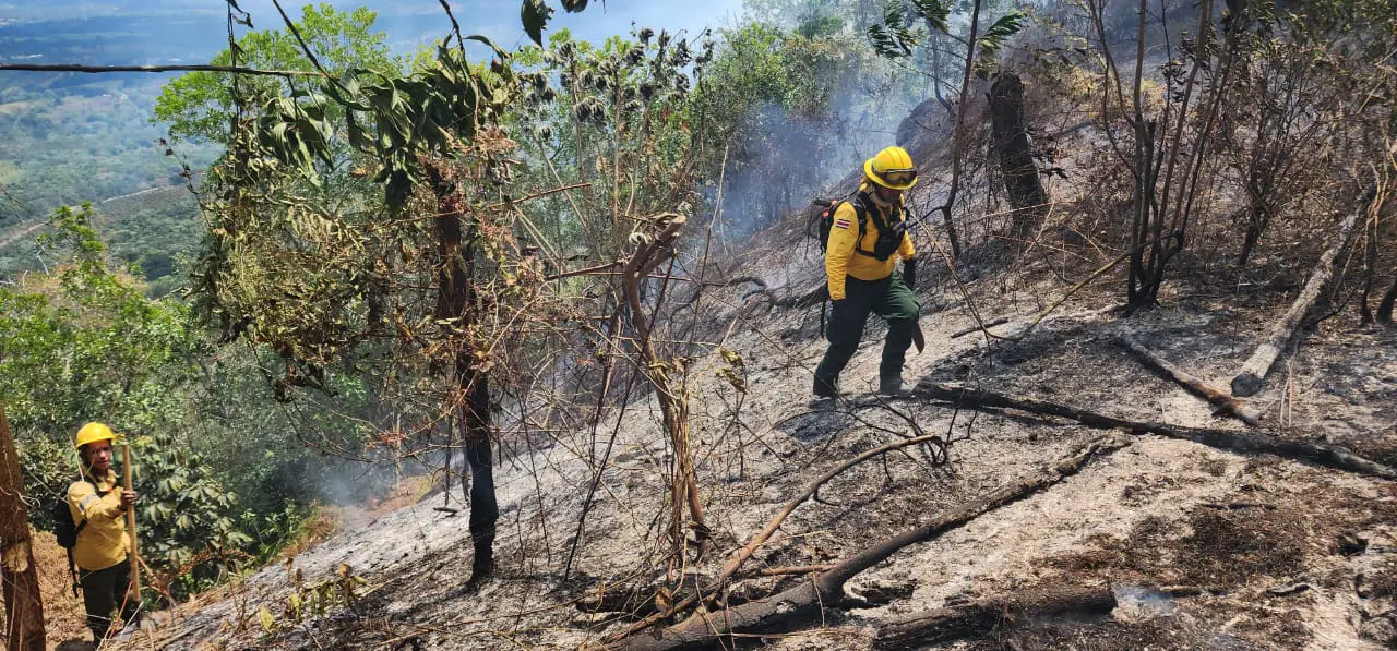 Identifican a responsables de crear algunos incendios en zonas de RD