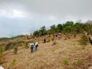 UTEPDA siembra árboles por del Día Mundial del Agua en Barahona