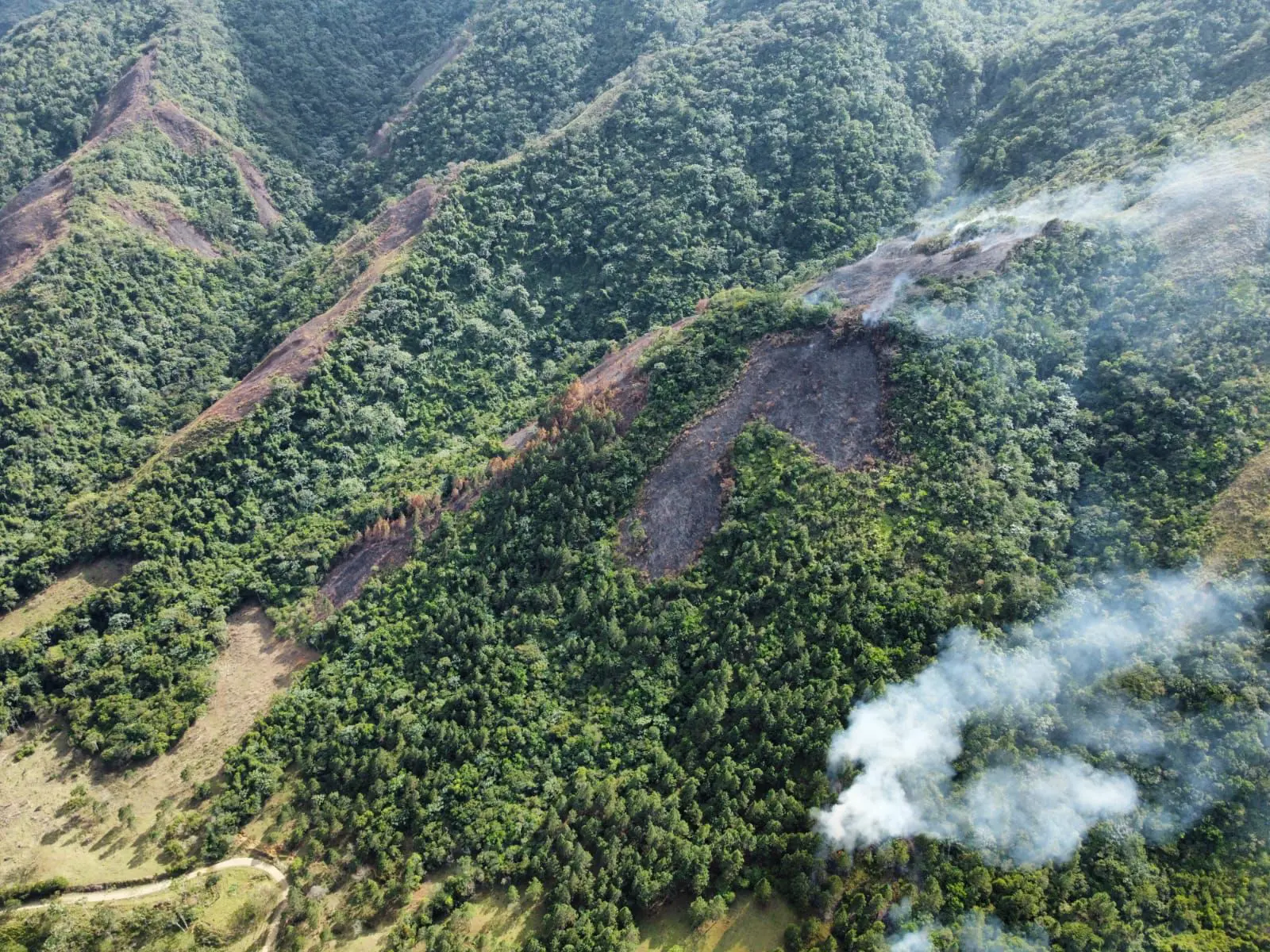 Medio Ambiente asegura tiene bajo control mayoría de incendios