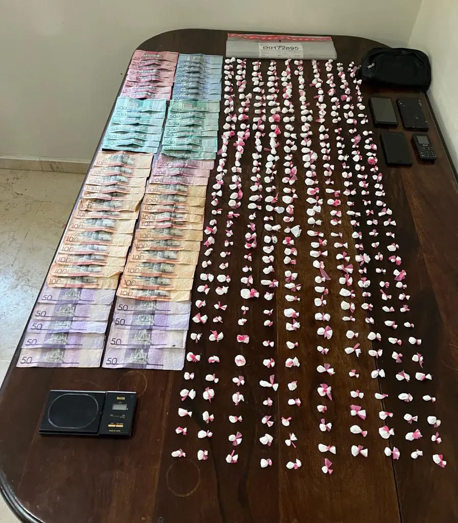 Autoridades asguran han decomisado más de 146 mil gramos de drogas