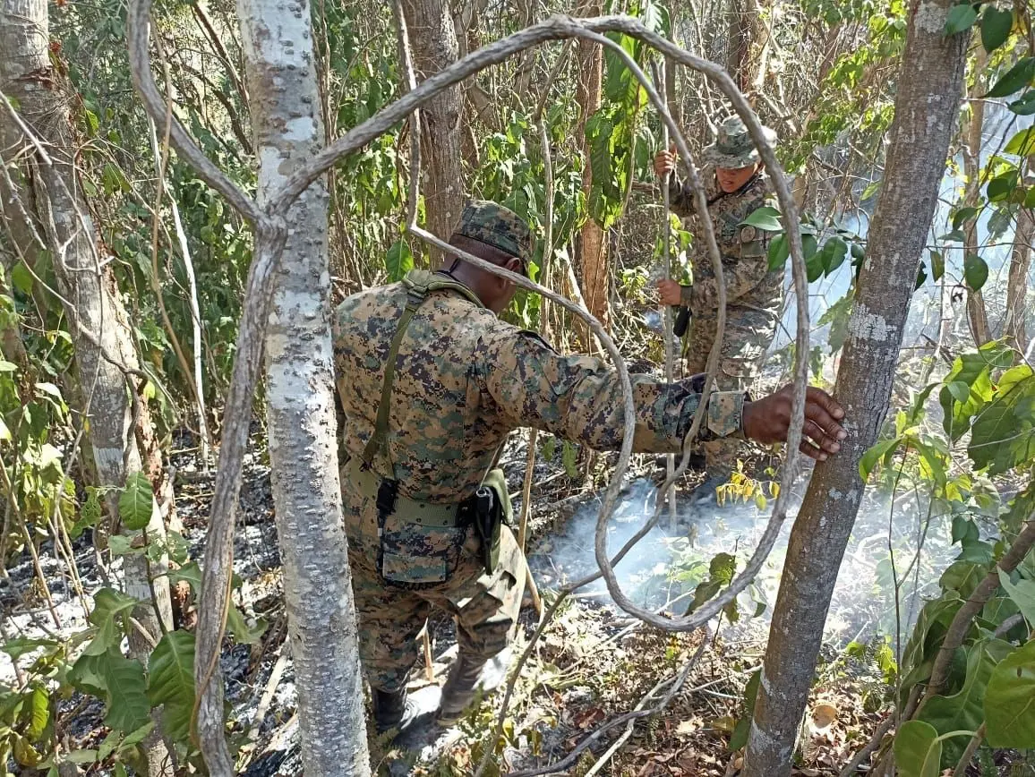 Ejército sofocó incendio que por varios días afectaron lomas en Barahona
