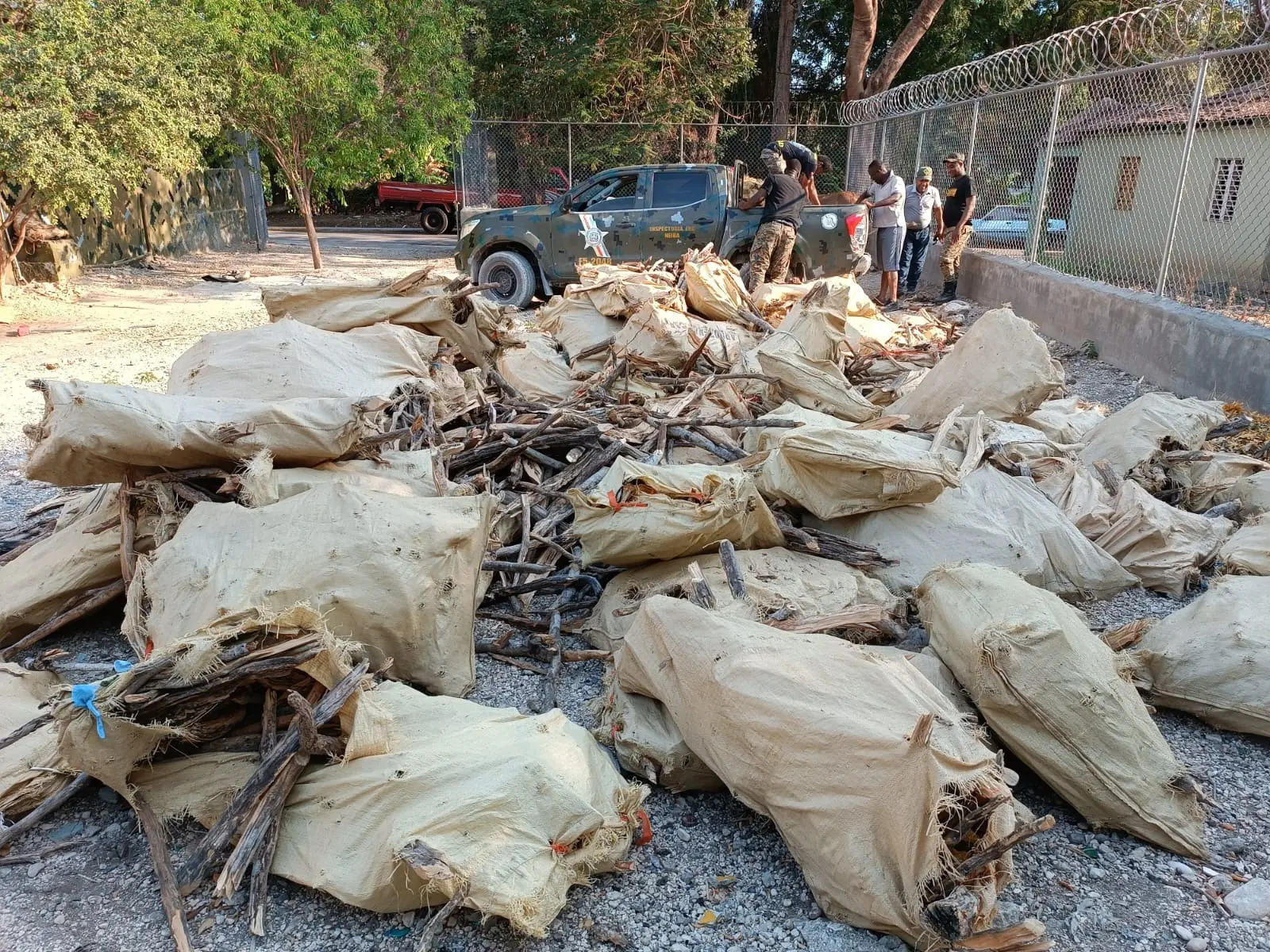Incautan 310 sacos con trozos de árbol y cargamento de madera preciosa