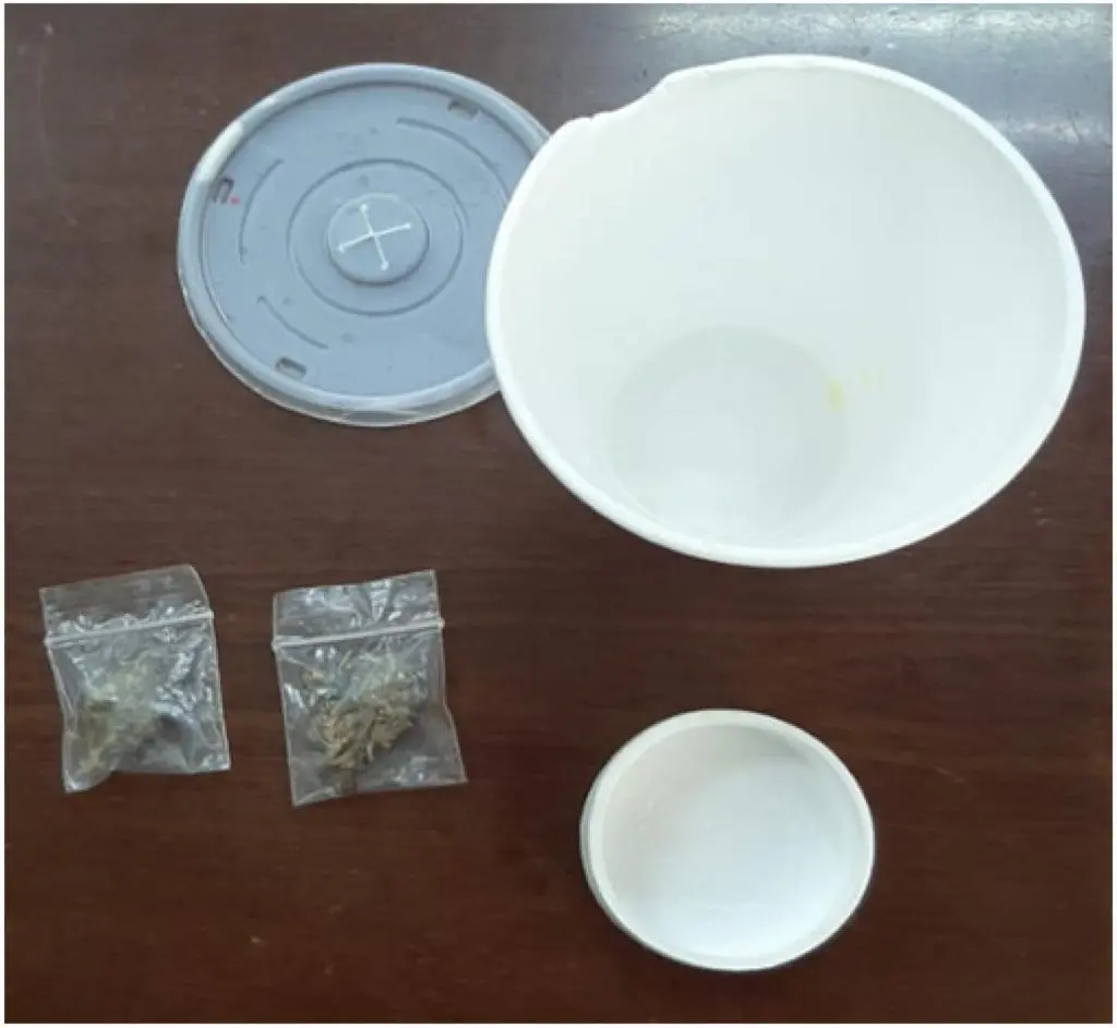 Apresan doméstica intentó introducir presunta marihuana a cárcel de Mao