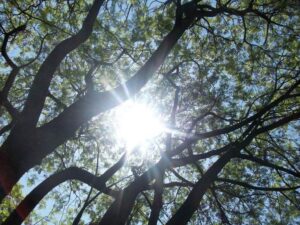 República Dominicana experimentará el Sol cenital durante 10 días