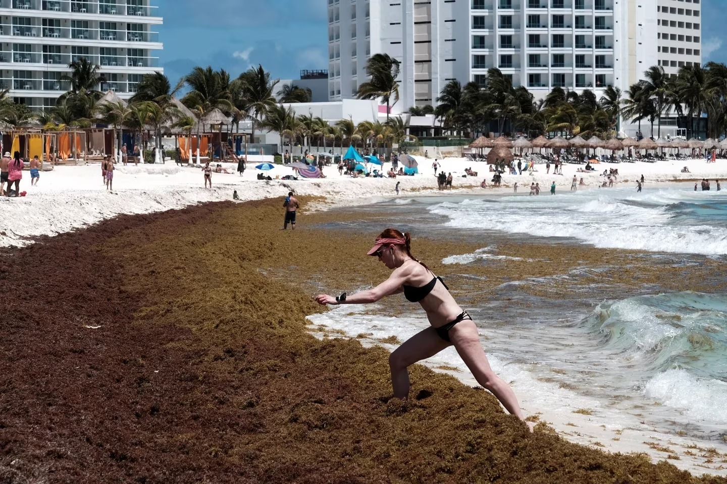 La “invasión” de sargazo amenaza con arruinar las playas de Florida. Foto: Fuente externa