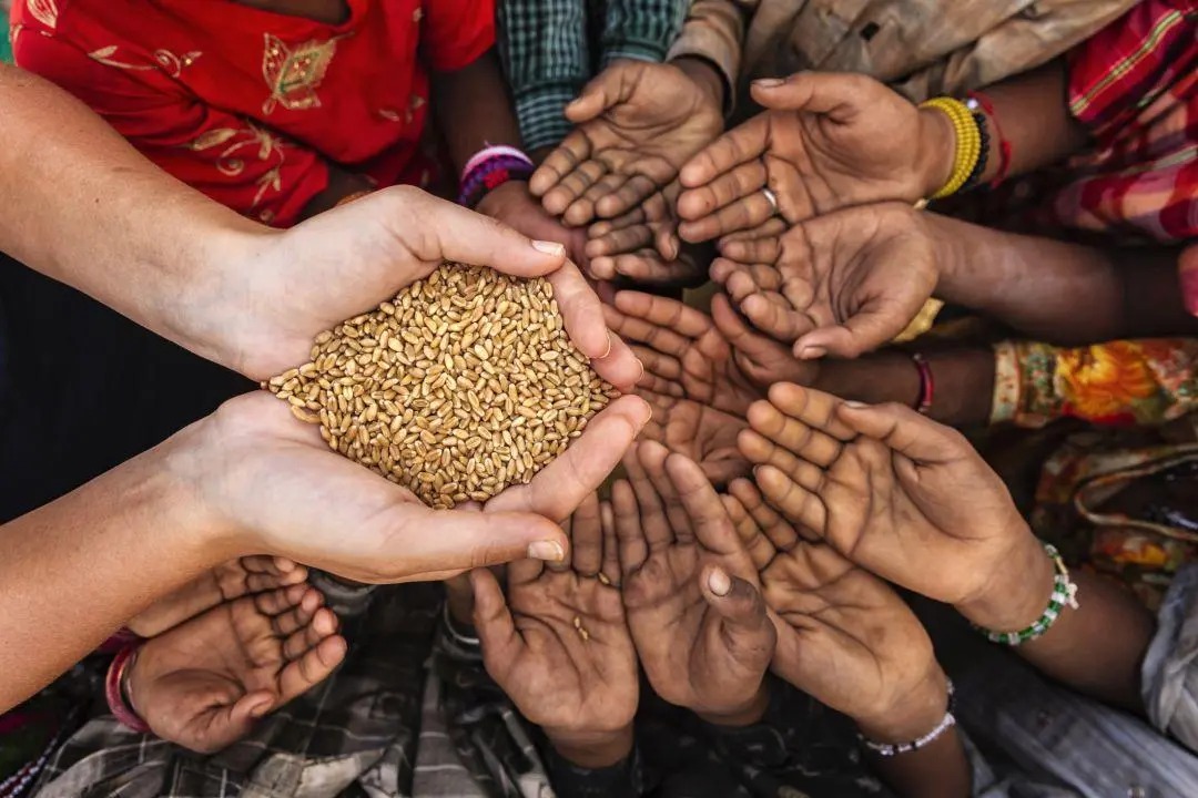 PMA pide al G7 compromiso ante el hambre y advierte de crisis en Sudán, Haití y el Sahel