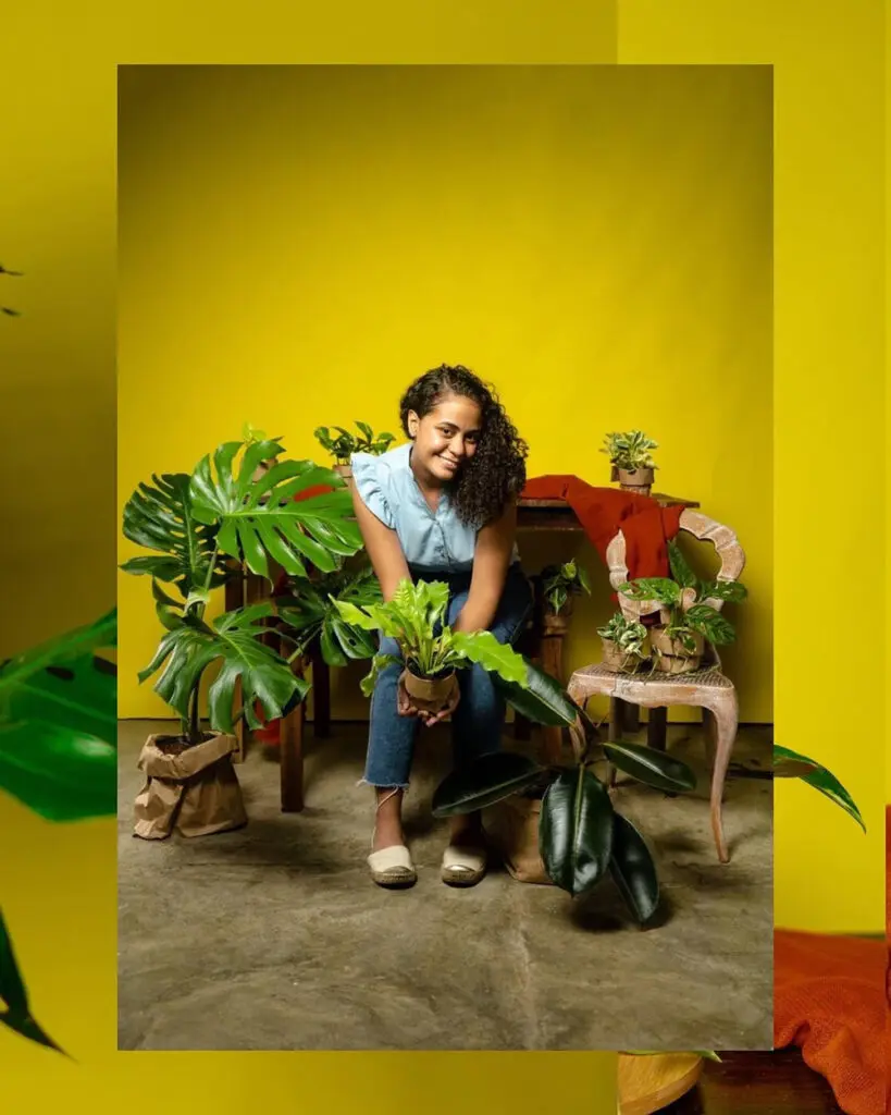 Las Plantas de Cuca