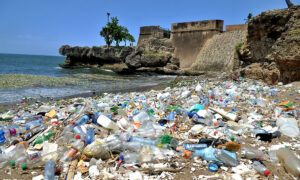 Día Mundial del Medio Ambiente 2023: Buscando eliminar la huella plástica