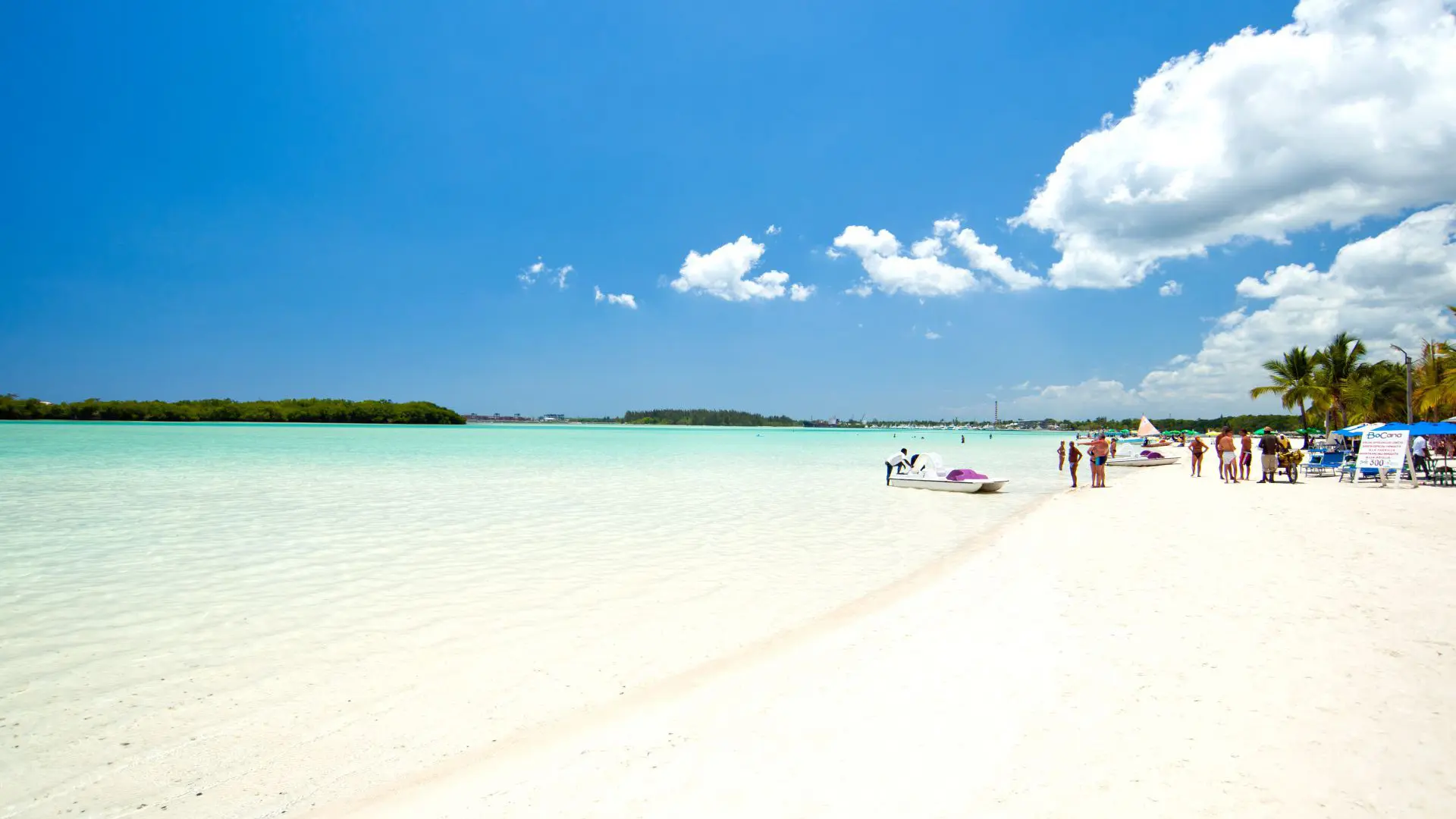 Balneario de Boca Chica ya está libre de sargazo