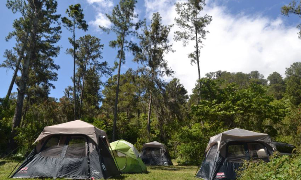 Camping en La Vega