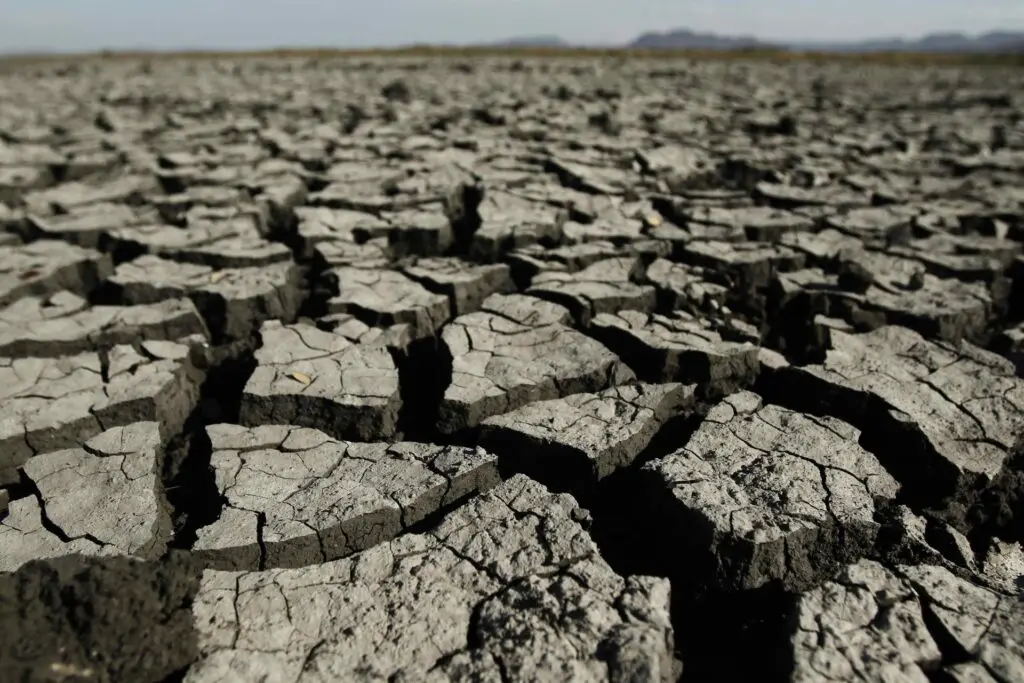 Viene El Niño y esto es lo que significa para nuestro clima