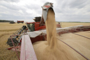 LA ONU lanza un programa para ayudar a los agricultores en Ucrania