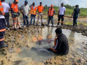 Rescatan manatí bebé en playa El Faro de San Pedro de Macorís