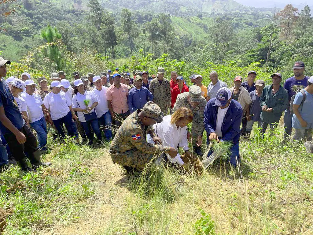 Plan Reforestación impacta en todo el país, dice Medio Ambiente