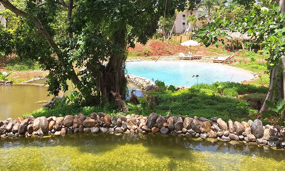 Cenotes para la relajación.