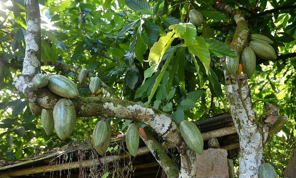 Los nuevos destinos turísticos internos: la otra apuesta del país