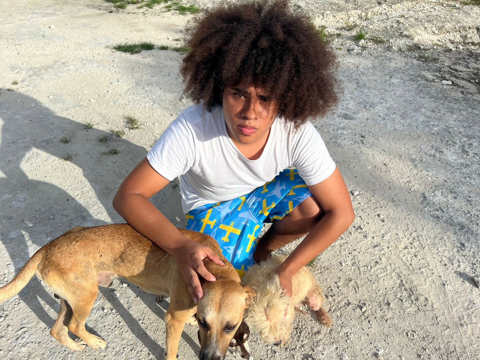 Joven alimenta más de 100 perros de la calle