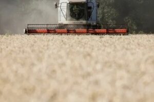 EEUU advirtió suspensión acuerdo de grano tendrá costo para Rusia