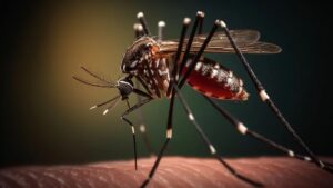 Dengue: por qué el cambio climático alargó la temporada de contagios