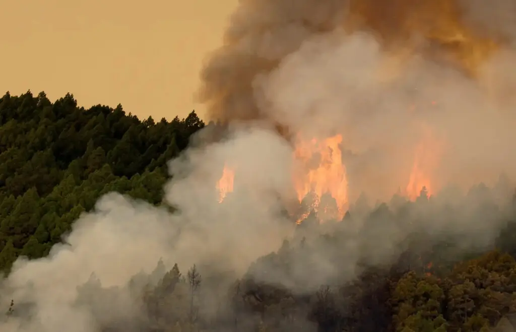 Desastres climáticos hacen un 2023 récord para el calentamiento global