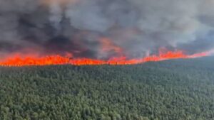 Récord emisiones de incendios de Canadá que llegaron a Europa y EEUU