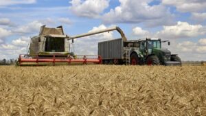 Rusia incrementa un 60 % sus exportaciones en julio