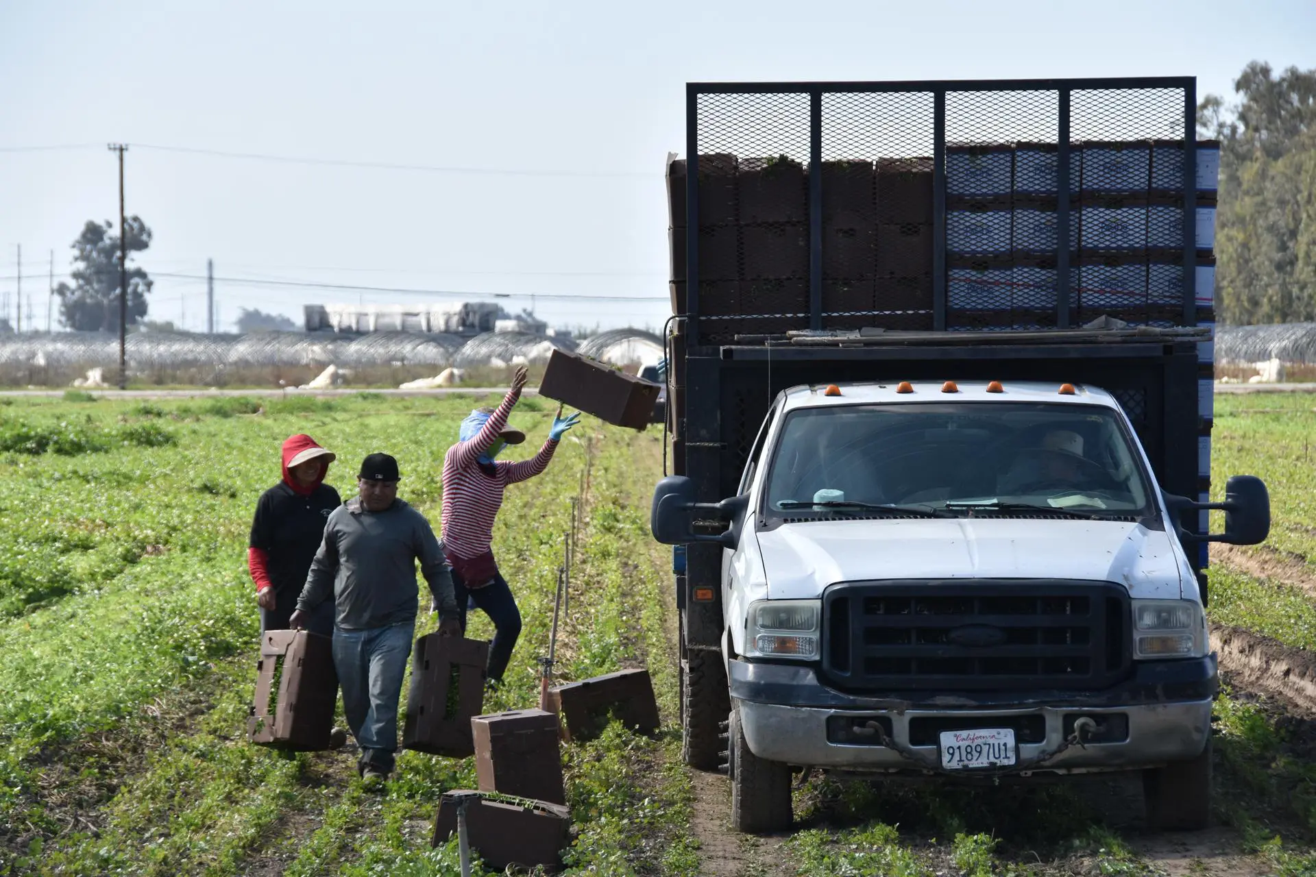 EEUU y México se unen para educar a trabajadores migrantes