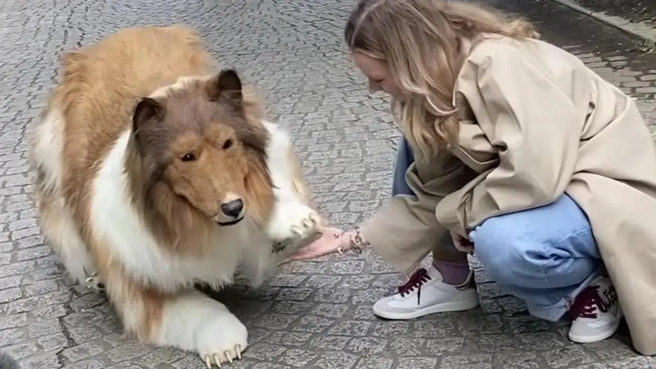 Gastó 20 mil dólares en este disfraz porque quiere ser un perro