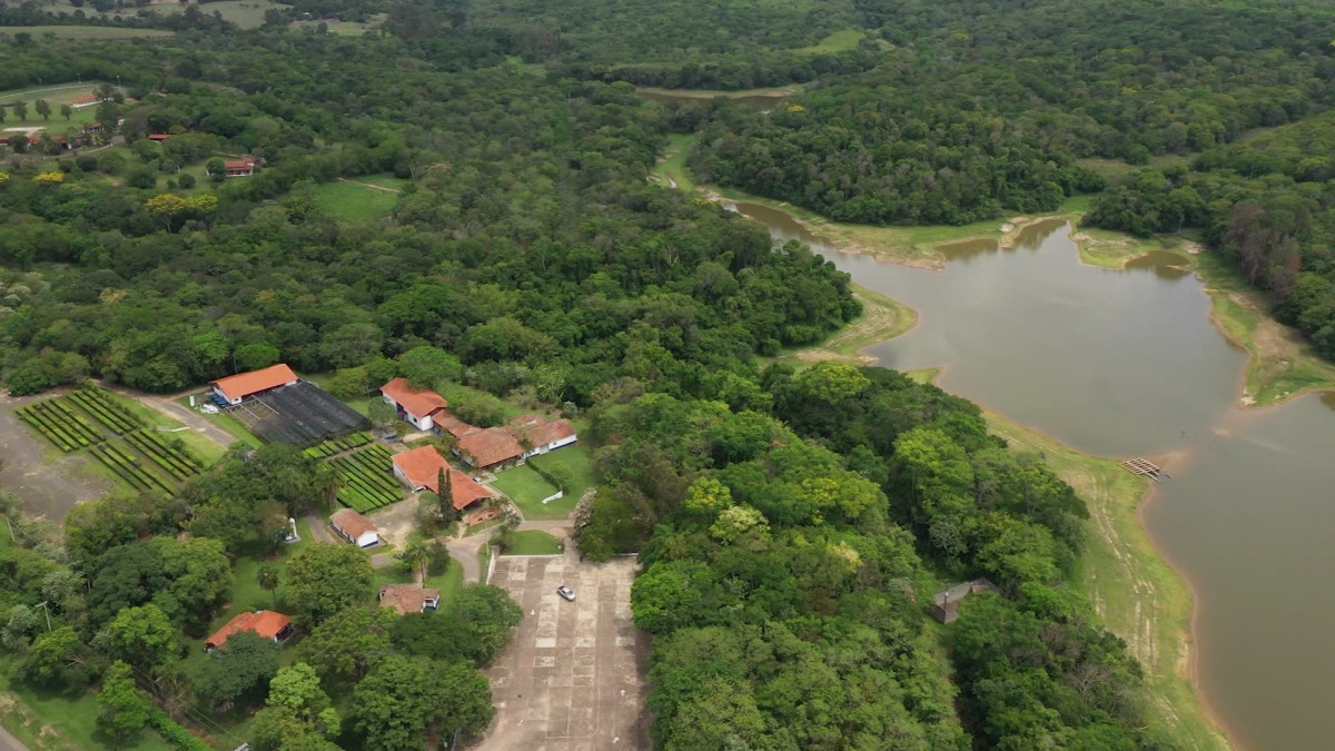Una avioneta cae en la Amazonía brasileña y mueren las 14 personas