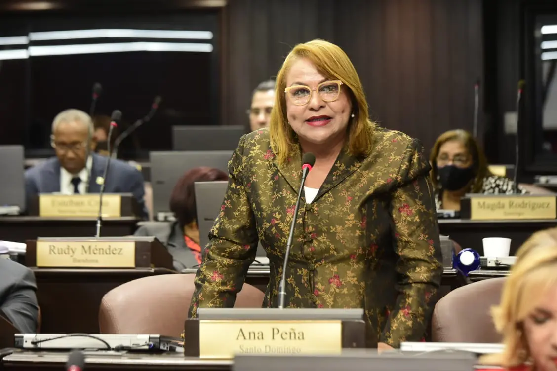 Diputada PLD deplora largas tandas de apagones en el país
