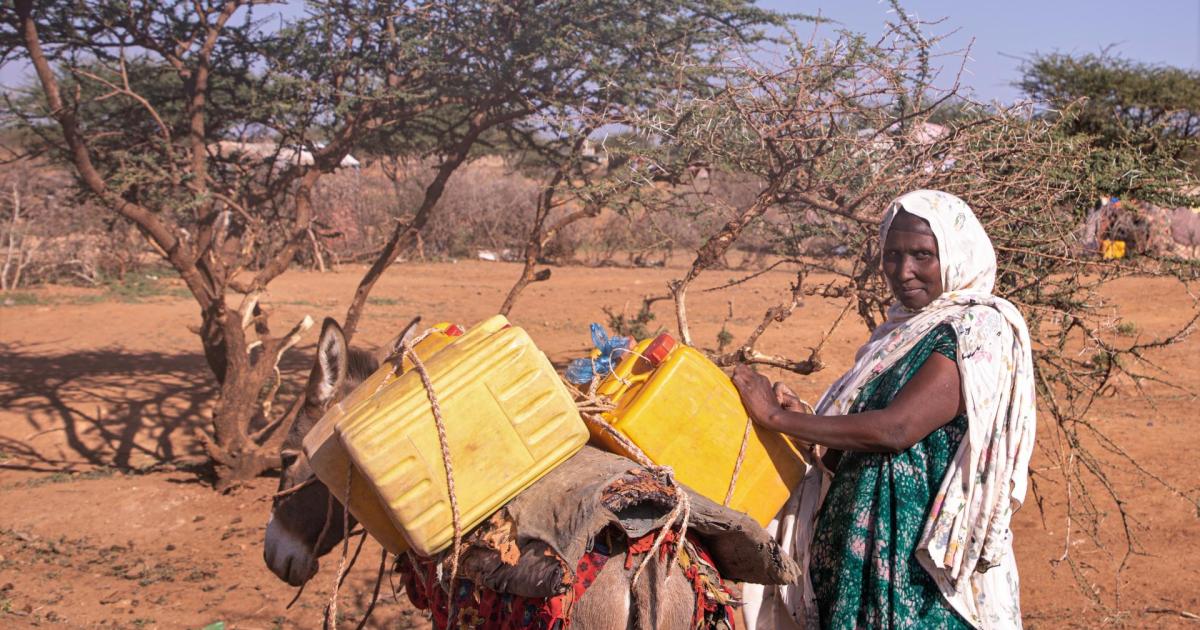 OIM pide previsión para frenar el impacto climático en la movilidad