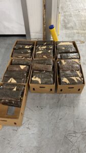 Confiscan 591 láminas de presumiblemente cocaína en cajas de guineos