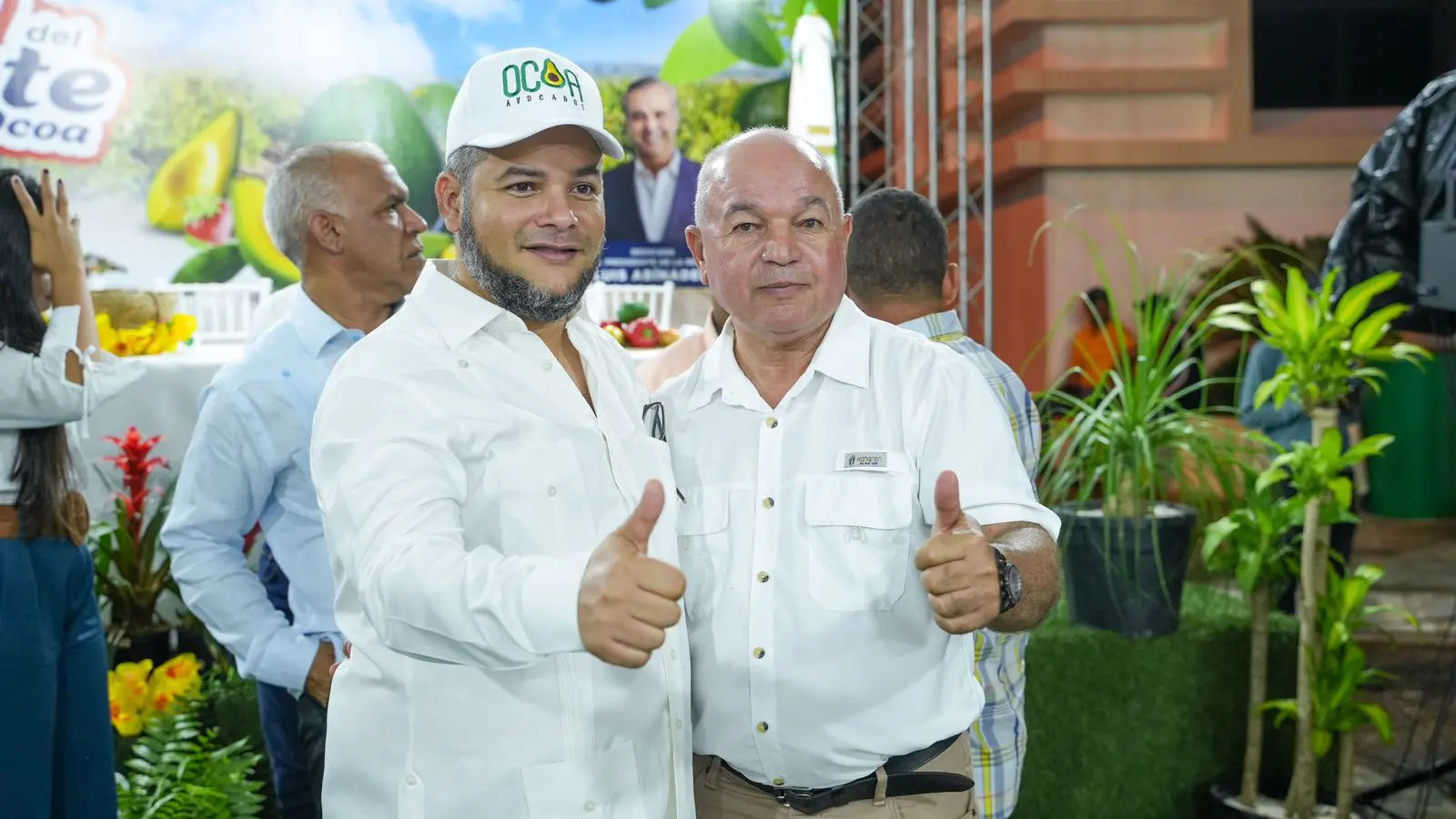 El FEDA muestra interés en aguacate