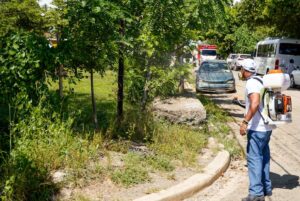 Unas 27.000 personas participan en operativos contra el dengue en RD