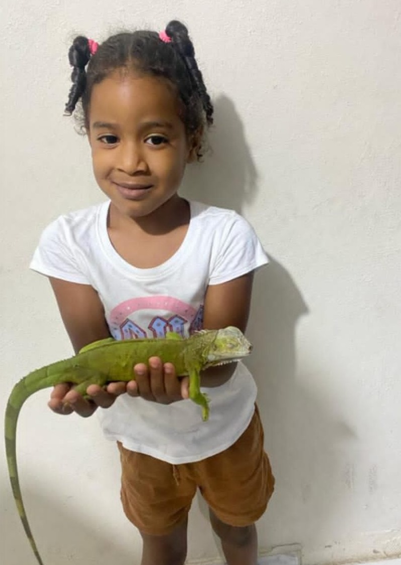 Fallece niña de 6 años con síntomas de dengue