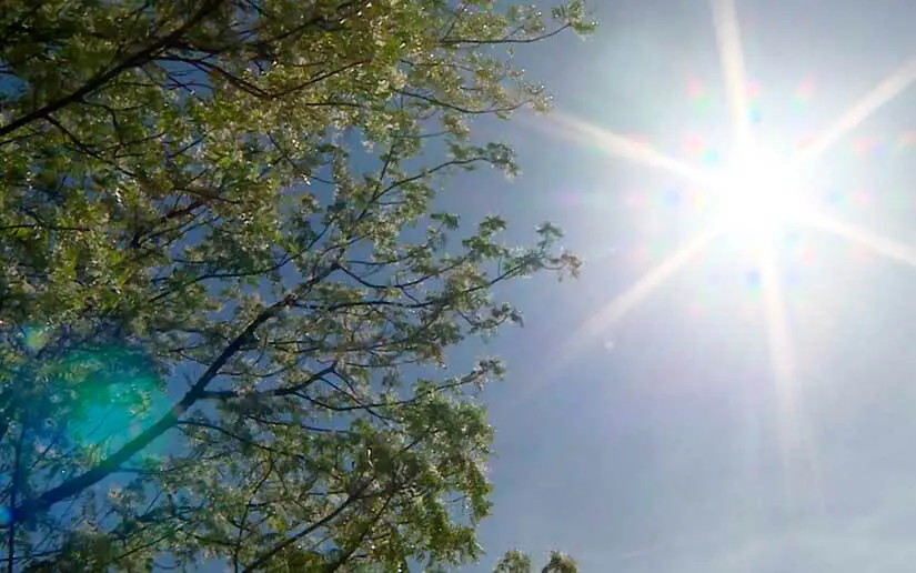 Onamet pronostica día  soleado con escasas lluvias