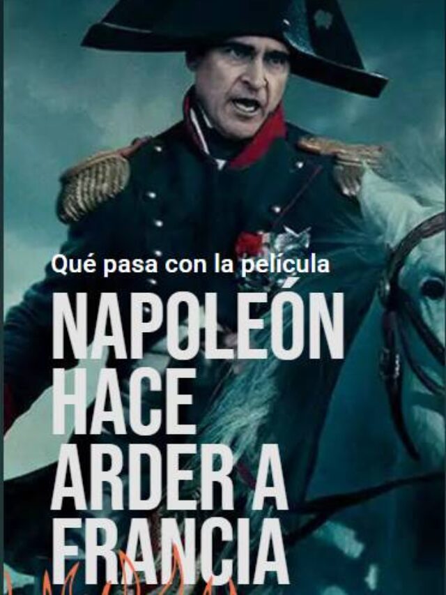 Napoleón hace arder a Francia