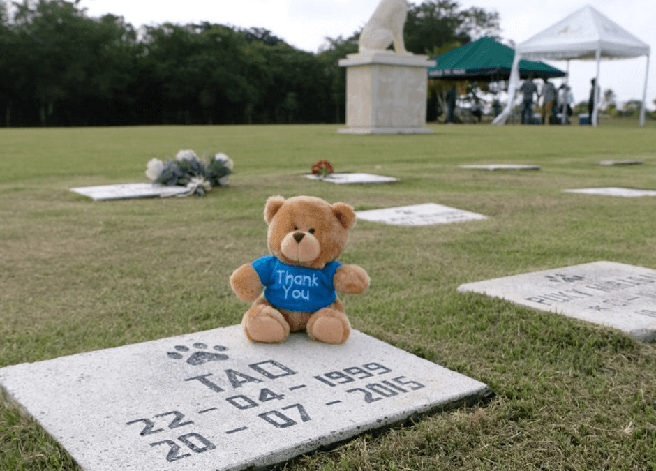 Parque del Prado Pet Cemetery