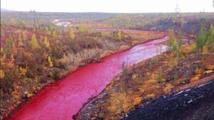 Video: El Rio Nilo rojo causa pánico por su presagio bíblico