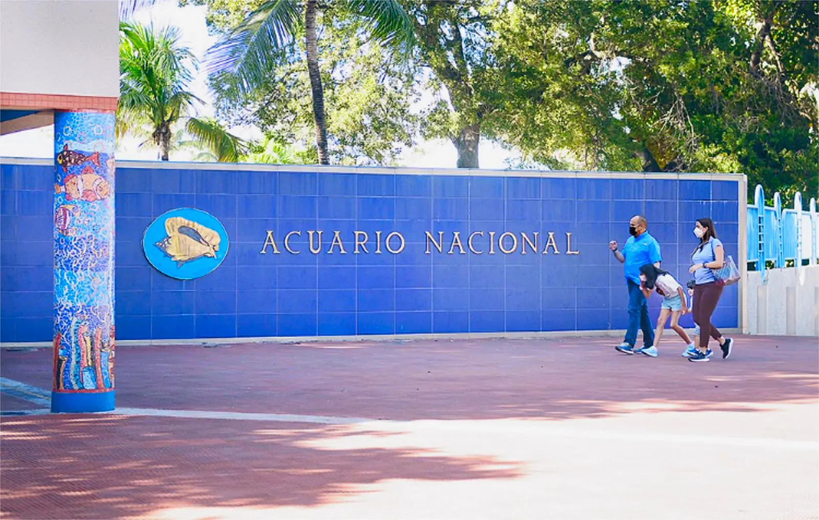 Suspenden directora de Acuario Nacional