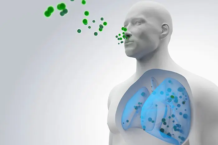 virus respiratorios