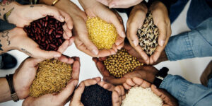 La FAO necesita US$1.800 millones para salvar 43 millones de personas