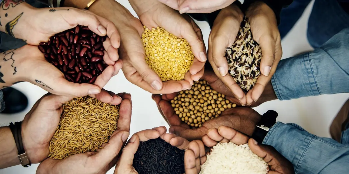 La FAO necesita US$1.800 millones para salvar 43 millones de personas