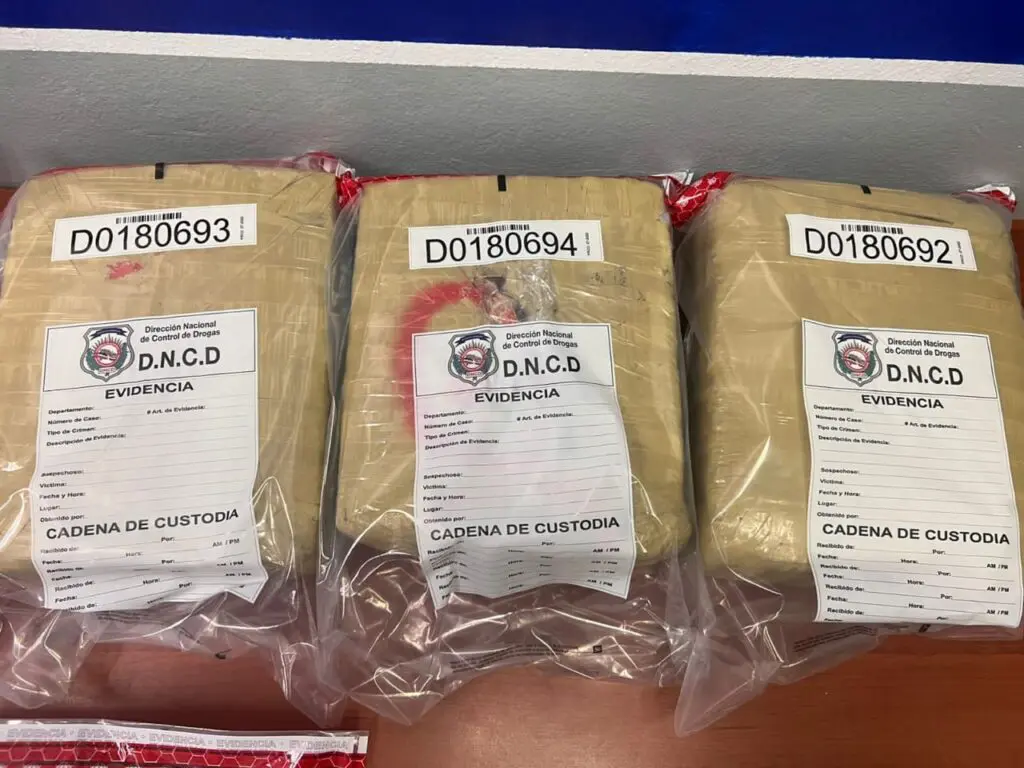 Se incauto incautó más de 24,814 kilogramos de drogas en 2023, dice DNCD